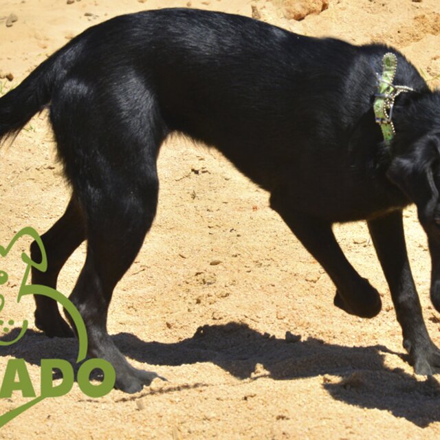 Nina_6_meses_adotada