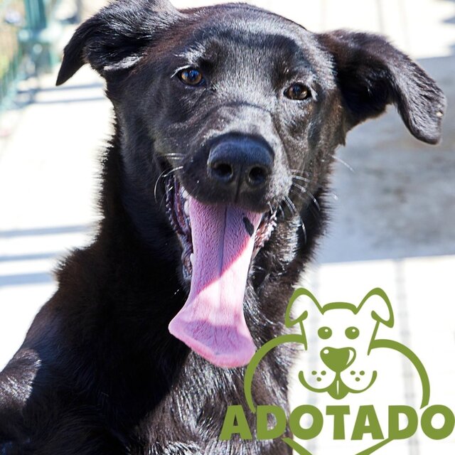 eva__adotada