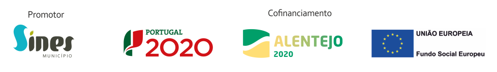 Logos do cofinanciamento