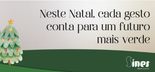 captura_de_ecra_2024_12_18_161615