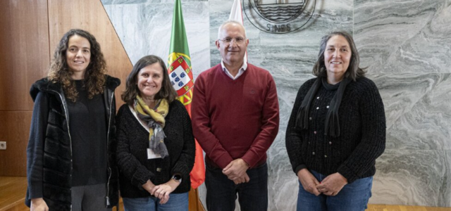 captura_de_ecra_2024_12_19_110821