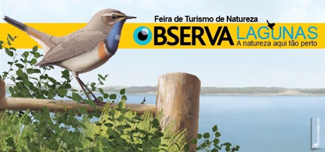 observalagunas___miniatura