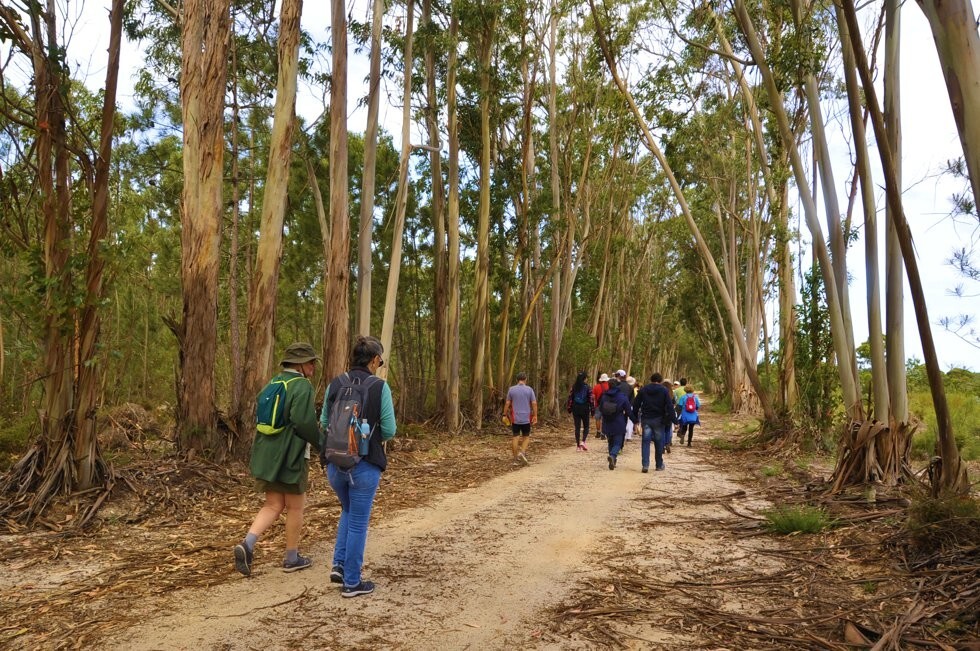 Visita &agrave; Lagoa da Sancha