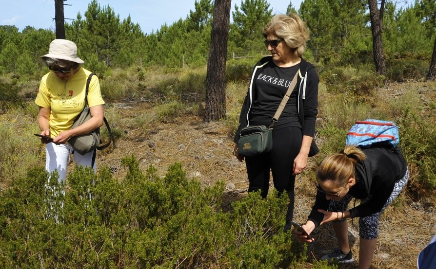 Visita &agrave; Lagoa da Sancha