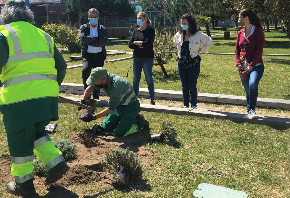 Planta&ccedil;&otilde;es