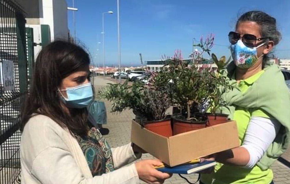 Planta&ccedil;&otilde;es