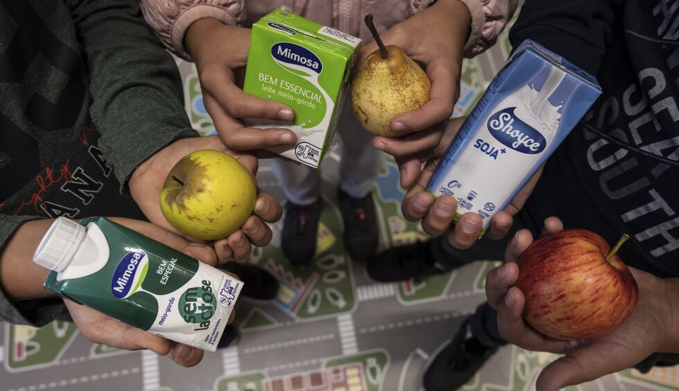 202210119__frutas e leites dados nas escolas (1)