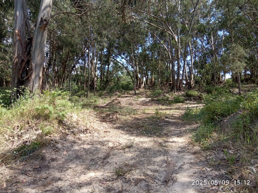 Desocupação terrenos 3