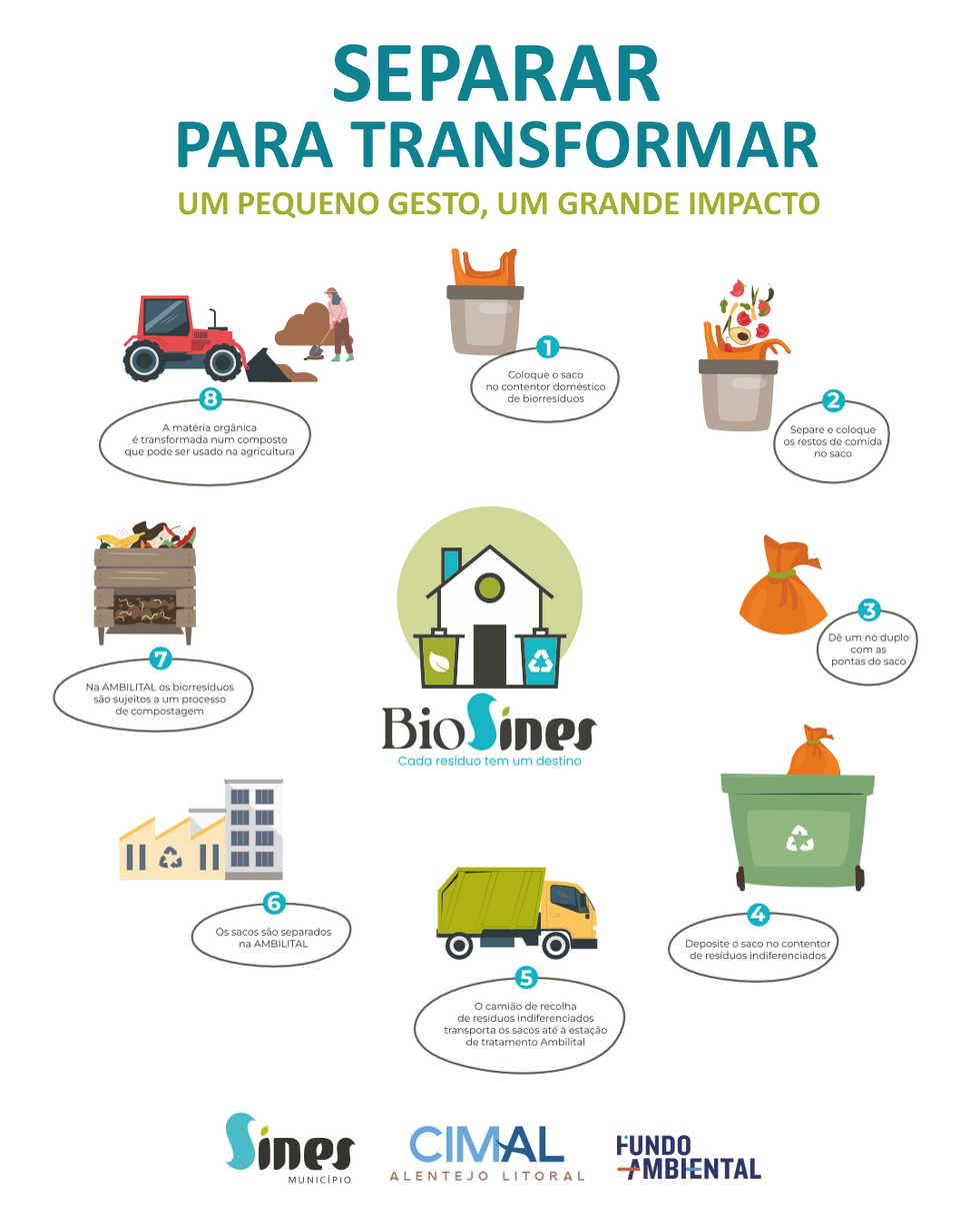 BioSines - principal