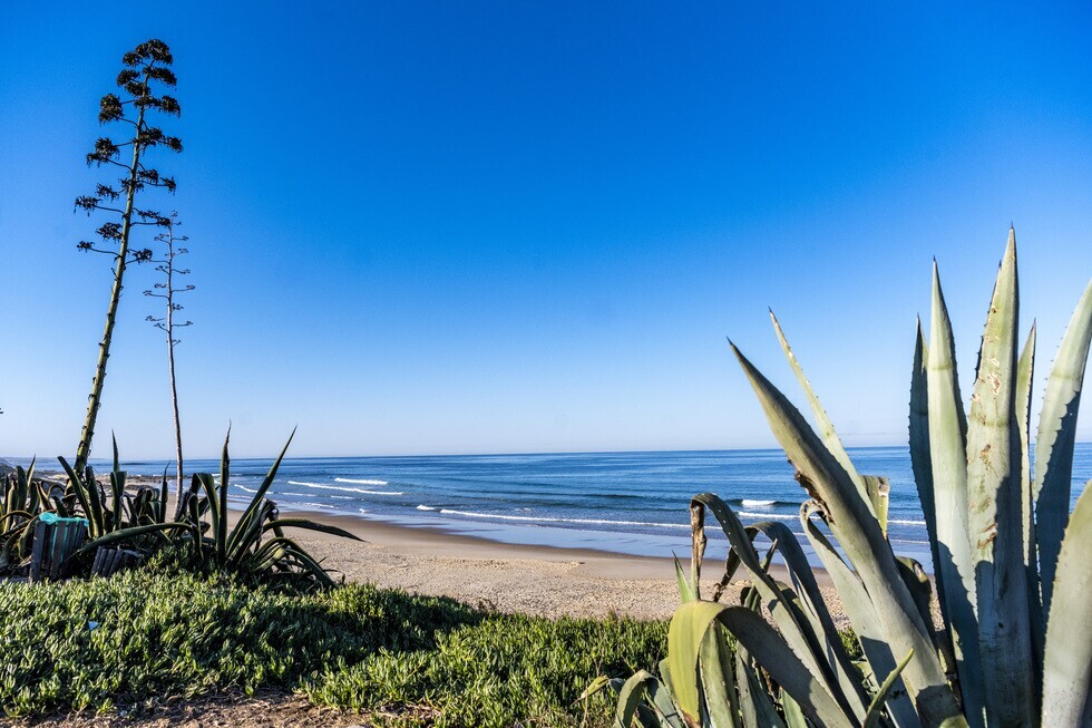 20250927_praia da vierinha_3